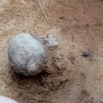 15.05.2021 Biały Ług w gminie Słupia Konecka. Prace w jamie grobowej gdzie znaleziono szczątki dwóch ciał / Dionizy Krawczyński / Radio Kielce