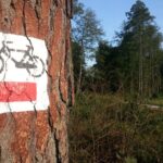 Powiat jędrzejowski. Ścieżki rowerowe / Magdalena Galas-Klusek / Radio Kielce