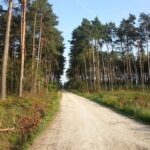 Powiat jędrzejowski. Ścieżki rowerowe / Magdalena Galas-Klusek / Radio Kielce