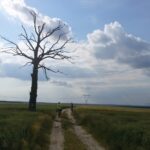 Powiat jędrzejowski. Ścieżki rowerowe / Magdalena Galas-Klusek / Radio Kielce