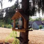 Zakrzów. Nabożeństwa majowe w 2020 roku / Małgorzata Pierchała