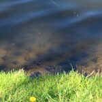 11.05.2021. Kielce. Ścieżka rowerowa wokół zalewu kieleckiego / Paulina Michta / Radio Kielce