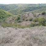 Muzyczne podróże. Gruzja / Radosław Koniarz