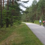 Powiat włoszczowski. Ścieżki rowerowe. Fragment szlaku z Krasocina do Chotowa / Starostwo Powiatowe we Włoszczowie