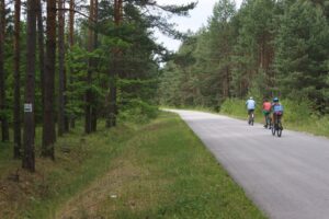 Powiat włoszczowski. Ścieżki rowerowe. Fragment szlaku z Krasocina do Chotowa / Starostwo Powiatowe we Włoszczowie