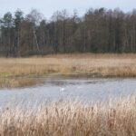 Powiat włoszczowski. Ścieżki rowerowe. Stawy rybne w Kwilinie / Starostwo Powiatowe we Włoszczowie