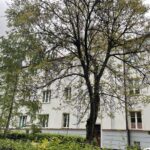 16.05.2021 Sandomierz. Budynek szpitala, koszar, kasyna... / Grażyna Szlęzak-Wójcik / Radio Kielce