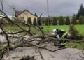 02.05.2021. Włoszczowa. Powalone drzewo / PSP Włoszczowa