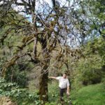 Muzyczne podróże. Gruzja / Radosław Koniarz