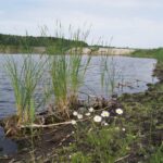 Powiat włoszczowski. Ścieżki rowerowe. Stawy chotowskie / Starostwo Powiatowe we Włoszczowie