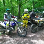 Surowsze kary za wjazd do lasu