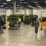 22.05.2021 Kielce. festiwal Roślin / Paulina Michta / Radio Kielce