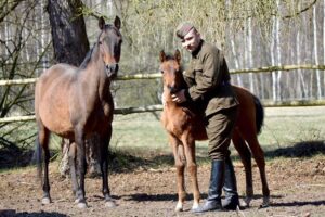 16.05.2021. Dobrów, gmina Tuczępy. Kuhailany - odmiana koni arabskich / Marcin Kozieł / archiwum