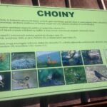 Powiat jędrzejowski. Ścieżki rowerowe / Magdalena Galas-Klusek / Radio Kielce