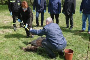 06.05.2021. Bukowie, gm. Kunów. Sadzenie buków. Buka wkopuje radna Renata Ćwiklińska, na zdjęciu z prawej Stanisław Dziułka - sołtys Bukowia / Emilia Sitarska / Radio Kielce