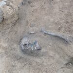 16.05.2021 Biały Ług w gminie Słupia Konecka. Odnalezione szczątki dwóch osób / Fundacja „Niezłomni"