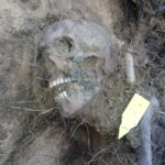 16.05.2021 Biały Ług w gminie Słupia Konecka. Odnalezione szczątki dwóch osób / Fundacja „Niezłomni"