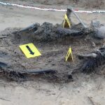 16.05.2021 Biały Ług w gminie Słupia Konecka. Odnalezione szczątki dwóch osób / Fundacja „Niezłomni"