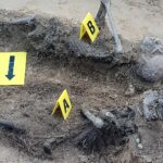 16.05.2021 Biały Ług w gminie Słupia Konecka. Odnalezione szczątki dwóch osób / Fundacja „Niezłomni"