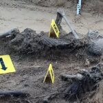 16.05.2021 Biały Ług w gminie Słupia Konecka. Odnalezione szczątki dwóch osób / Fundacja „Niezłomni"