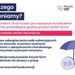 Program społeczno-gospodarczy „Polski Ład” / PiS - materiały prasowe