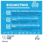 Program społeczno-gospodarczy „Polski Ład” / PiS - materiały prasowe