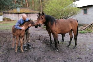 16.05.2021. Dobrów, gmina Tuczępy. Na zdjęciu: Marcin Kozieł, który hoduje konie arabskie - kuhailany / Marta Gajda / Radio Kielce