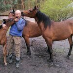 16.05.2021. Dobrów, gmina Tuczępy. Na zdjęciu: Marcin Kozieł, który hoduje konie arabskie - kuhailany / Marta Gajda / Radio Kielce