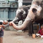 Indie / Danuta Rasała / archiwum prywatne