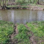 07.05.2021. Gmina Bałtów. Drogi rozjeżdżone przez auta terenowe, quady i motocrossy / Emilia Sitarska / Radio Kielce