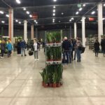 22.05.2021 Kielce. festiwal Roślin / Paulina Michta / Radio Kielce