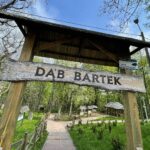 14.05.2021. Zagnańsk. Dąb Bartek / Wiktor Taszłow / Radio Kielce