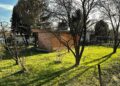 Ostrowieckie ogródki działkowe otrzymały wsparcie od miasta