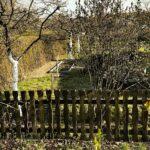 03.05.2021 Kielce. Ogrody działkowe / Jarosław Kubalski / Radio Kielce