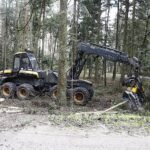 07.05.2021 Trasa Zagnańsk - Siodła. Wycinka drzew pod budowę ścieżki rowerowej / Jarosław Kubalski / Radio Kielce