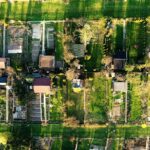 Zielona żywa ściana w Ogrodzie Działkowym Chrobrego w Kielcach