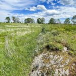 26.05.2021. Wiślica. XI-wieczne grodzisko, które dało początek miastu / Jarosław Kubalski / Radio Kielce