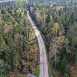 07.05.2021 Trasa Zagnańsk - Siodła. Wycinka drzew pod budowę ścieżki rowerowej / Jarosław Kubalski / Radio Kielce