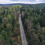 07.05.2021 Trasa Zagnańsk - Siodła. Wycinka drzew pod budowę ścieżki rowerowej / Jarosław Kubalski / Radio Kielce