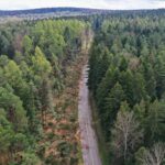 07.05.2021 Trasa Zagnańsk - Siodła. Wycinka drzew pod budowę ścieżki rowerowej / Jarosław Kubalski / Radio Kielce