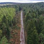 07.05.2021 Trasa Zagnańsk - Siodła. Wycinka drzew pod budowę ścieżki rowerowej / Jarosław Kubalski / Radio Kielce