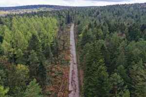 07.05.2021 Trasa Zagnańsk - Siodła. Wycinka drzew pod budowę ścieżki rowerowej / Jarosław Kubalski / Radio Kielce