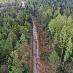 07.05.2021 Trasa Zagnańsk - Siodła. Wycinka drzew pod budowę ścieżki rowerowej / Jarosław Kubalski / Radio Kielce