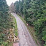 07.05.2021 Trasa Zagnańsk - Siodła. Wycinka drzew pod budowę ścieżki rowerowej / Jarosław Kubalski / Radio Kielce