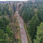 07.05.2021 Trasa Zagnańsk - Siodła. Wycinka drzew pod budowę ścieżki rowerowej / Jarosław Kubalski / Radio Kielce