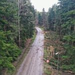 07.05.2021 Trasa Zagnańsk - Siodła. Wycinka drzew pod budowę ścieżki rowerowej / Jarosław Kubalski / Radio Kielce