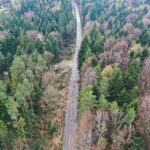 07.05.2021 Trasa Zagnańsk - Siodła. Wycinka drzew pod budowę ścieżki rowerowej / Jarosław Kubalski / Radio Kielce