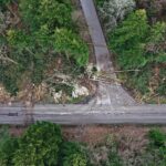 07.05.2021 Trasa Zagnańsk - Siodła. Wycinka drzew pod budowę ścieżki rowerowej / Jarosław Kubalski / Radio Kielce