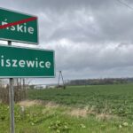 02.05.2021. Modliszewice. Pola na których uprawiano rośliny kauczukowydajne / Magdalena Galas-Klusek / Radio Kielce