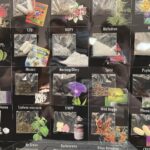 12.05.2021 Końskie. Spotkanie dotyczące dodatkowych patroli / Magdalena Galas-Klusek / Radio Kielce